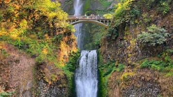 Benson Bridge is the footbridge that traverses Multnomah Creek. Scenic Waterfall and Bridge in a Lush Green Forest. video
