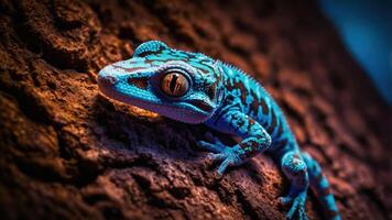 A vibrant blue gecko resting on a textured surface, showcasing its striking colors. photo