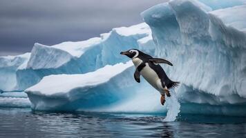 A penguin leaps from an iceberg into the water, showcasing its agility in a cold environment. photo
