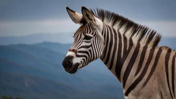 A close-up of a zebra against a mountainous backdrop, showcasing its distinctive stripes. photo
