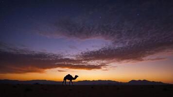 A silhouette of a camel against a vibrant sunset in a desert landscape. photo