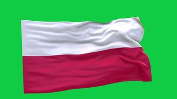 Poland Flag 3d render waving animation motion graphic isolated on green screen background video