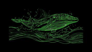 Neon frame effect, Whale gentle whale with a splash of water and a happy face on black background video