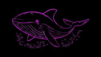 Neon frame effect, Whale gentle whale with a splash of water and a happy face on black background video