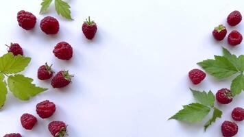 Fresh organic ripe raspberry video