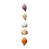 Vertical arrangement of various seashells in descending size on transparent background png