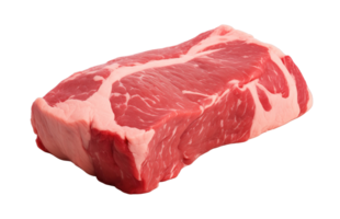 Raw beef meat isolated on transparent background png