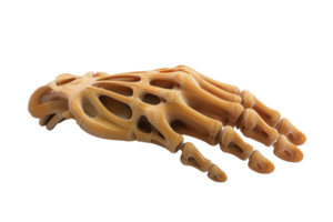 3D model of a human hand bone structure in a wooden material, showing detailed skeletal anatomy and intricate design. png