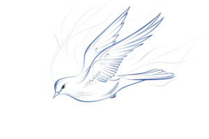 Abstract illustration of a blue dove in flight with artistic lines, symbolizing peace and freedom, isolated on a transparent background. png