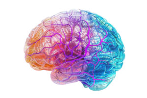Colorful, artistic representation of the human brain highlighting neural networks and connections, illustrating the complexity of the mind. png