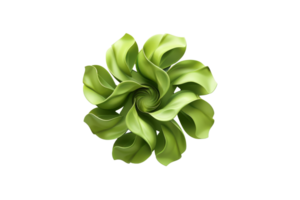 Abstract green succulent plant with spiral pattern, isolated on transparent background. Perfect for nature, botanical, and design projects. png