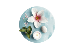 Elegant spa arrangement with a white flower, candle, leaf, and pebble on a light blue background, perfect for wellness concepts. png