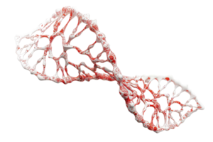 Intricate red and white DNA molecule structure, symbolizing genetic science and biotechnology advancements. png