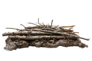 Close-up of a natural beaver dam constructed with branches and mud, showcasing wildlife engineering in a pond ecosystem. png