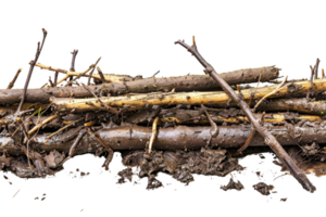 A close-up of a pile of wet, muddy sticks and twigs, showcasing the texture and natural details in an earthy setting. png