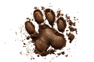 Digital rendering of a mud-covered animal paw print isolated on a transparent background. symbolizing wilderness and nature exploration. png