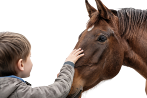 Young boy gently touching a horse's face, showcasing a moment of connection and love between child and animal in an outdoor setting. png