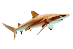 Digital rendering of a shark isolated on a transparent background. showcasing its sleek body and menacing appearance. png