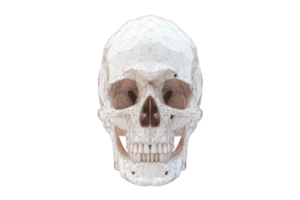 3D rendering of a human skull model, isolated on a transparent background. Modern geometric polygon design, perfect for medical or educational use. png