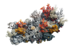 Colorful dried flower and plant arrangement, featuring red, yellow, and white foliage on a transparent background. Perfect for design projects. png