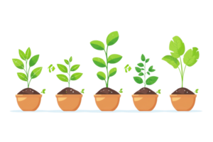 Illustration of five potted plants in various growth stages, representing progress and nature. Ideal for gardening or growth themes. png