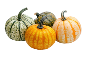 Assorted pumpkins with various colors and patterns isolated on transparent background. capturing seasonal autumn vibes. png