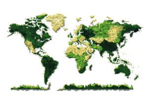Detailed geographical illustration of world map made of green foliage. Concept for global environment, conservation, and eco-friendly projects. png