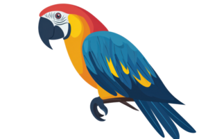 Colorful parrot illustration featuring vibrant feathers and a lively pose. Ideal for use in design projects and educational materials. png