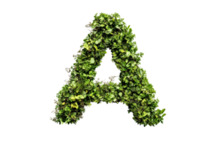 Creative alphabet letter A made from green foliage, isolated on transparent background. Perfect for nature-themed designs or eco-friendly concepts. png