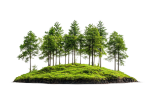 Lush green pine trees growing on a small mound of vibrant moss, isolated on a transparent background. png
