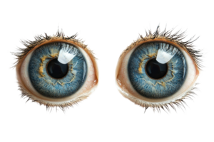 Close-up of vibrant blue human eyes against a transparent background. showcasing intricate details, eye color, and unique patterns. png