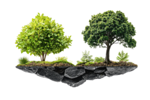 Floating island with two trees and lush greenery, concept of nature and environmental conservation in isolated background. png