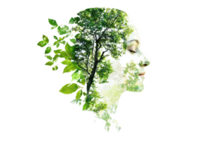 Double exposure of a woman's profile blended with a lush tree, symbolizing harmony with nature and environmental consciousness. png