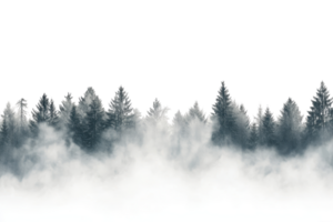 Misty dense forest with fog covering pine trees scenery, perfect for nature, tranquility, and wilderness themes. png