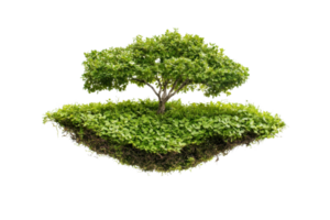 Isolated tree with green foliage on a floating island of grass and soil, symbolizing nature and environmental conservation. png
