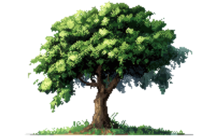 Beautiful green tree with lush foliage standing on grassy ground, isolated on transparent background. Symbol of nature and tranquility. png