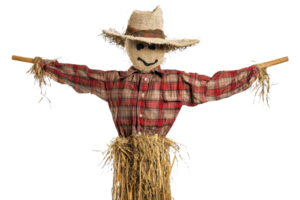 Cheerful scarecrow in a plaid shirt and straw hat against a transparent background. perfect for autumn and harvest-themed projects. png