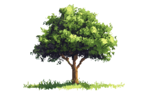A vibrant green tree stands tall on a grassy patch, symbolizing nature, growth, and tranquility in a sunny outdoor setting. png