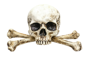 High-resolution skull and crossbones image. Ideal for Halloween, piracy, and danger-themed designs. png
