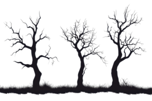 Silhouettes of three leafless trees isolated against a transparent background. showcasing a stark and haunting winter scene. png