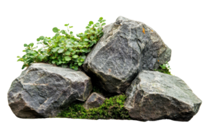 Close-up of three large gray rocks surrounded by green plants and moss, isolated on a transparent background. png