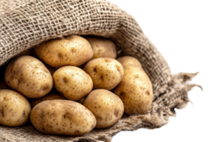 Freshly harvested potatoes spilling out of a burlap sack. Perfect for food, agriculture, and organic produce themes. png