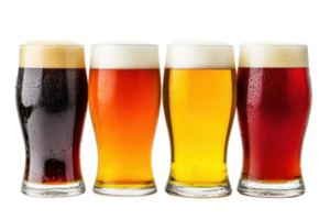 Four glasses of different types of beer lined up in a row, showcasing a variety of colors from dark to light, with frothy heads. png