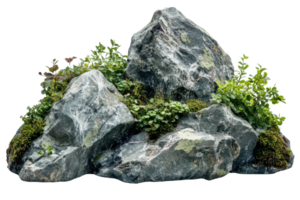 Natural rock arrangement with greenery and moss, showcasing a rugged and earthy aesthetic perfect for nature-themed projects. png