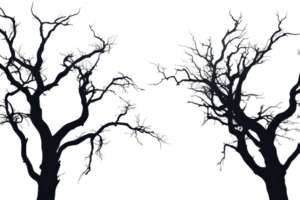 Silhouetted leafless tree branches against a transparent background. capturing the eerie and haunting essence of a dark, barren forest. png