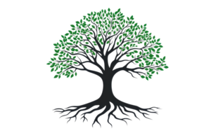 A vibrant green tree with extensive roots, symbolizing growth and stability. Perfect for environmental and nature-related projects. png