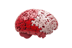 Red and white brain formed from jigsaw puzzle pieces, symbolizing intelligence, creativity, and problem-solving abilities. png