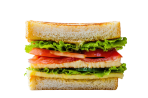 Close-up of a fresh, colorful vegetable sandwich with layers of tomatoes, lettuce, cucumber, and cheese on white bread. png