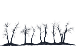 A row of stylized, black and white trees with intricate branches and leaves on a transparent background. Digital art illustration. png