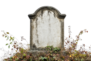 Old weathered gravestone overgrown with ivy and moss, symbolizing time, history, and remembrance in a peaceful, natural environment. png